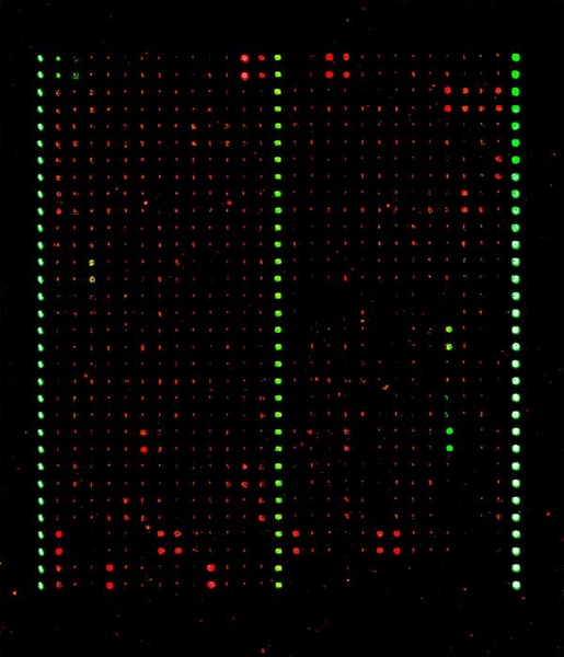 MicroArray