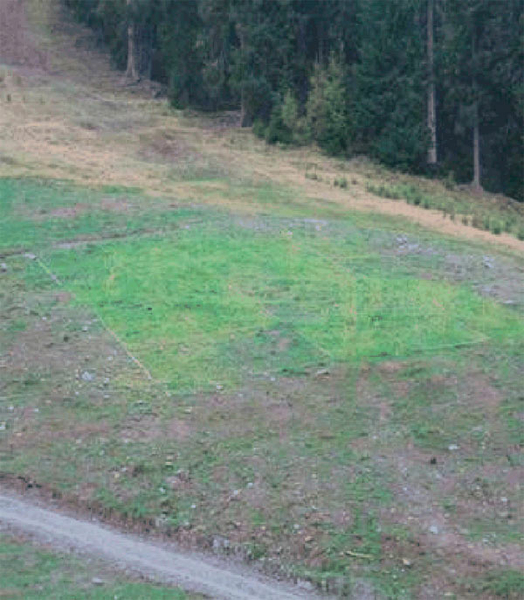 Versuchsfl�che Mutterer Alm